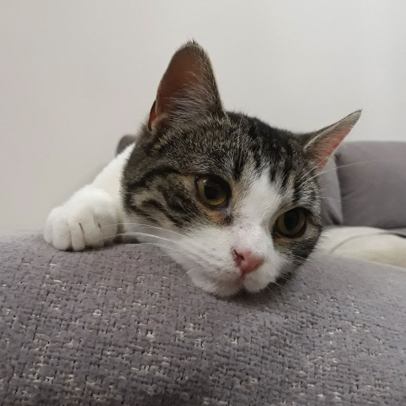 Sophie