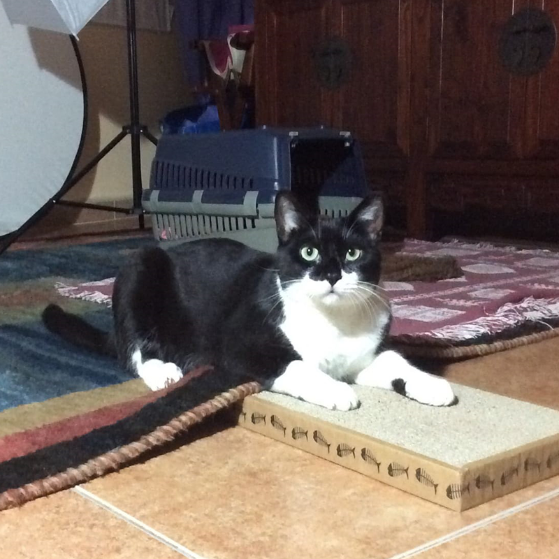 Berlioz