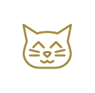 gato icono