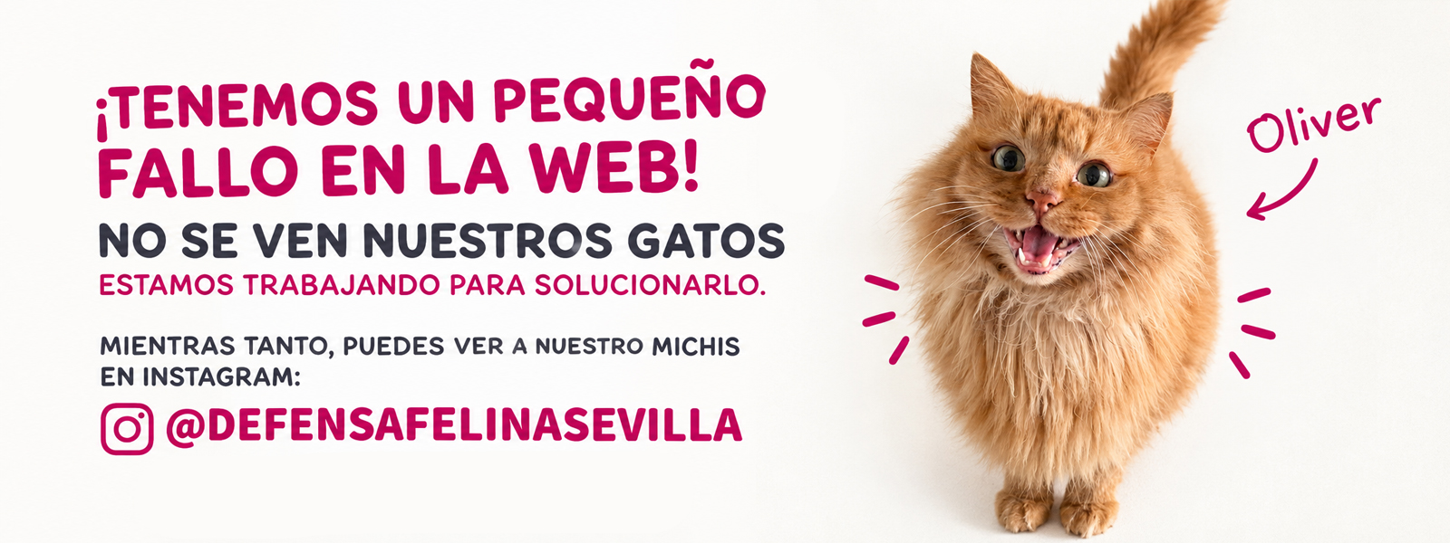 slider_fallo_web